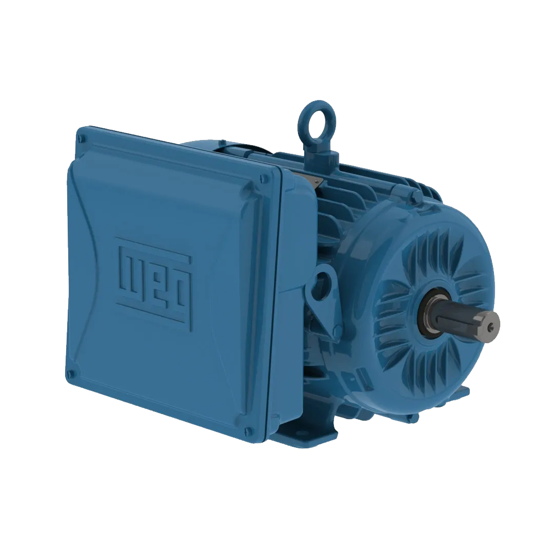Motor Electrico WEG Monofasico 5HP 1800rpm IP55 Hierro (PG005181CQD)